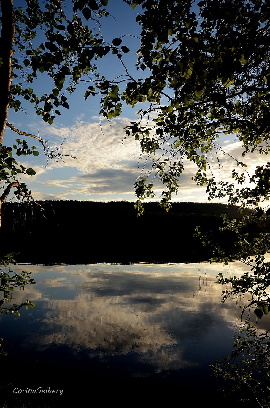 water, mirroring, lake, nature, sky, outdoors, tree, sunset HD wallpaper