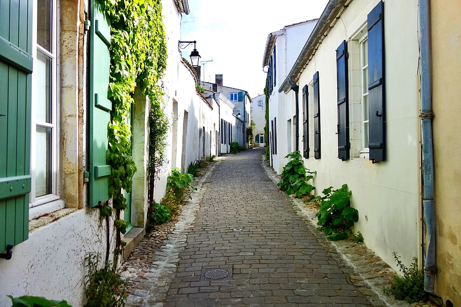Saint Martin De Ré, Village, lane, pavers, sweet peas, french village, HD wallpaper