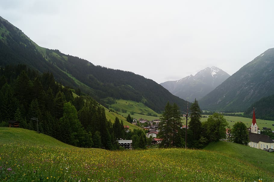 vacations, austria, place, valley, mountain, plant, scenics - nature HD wallpaper