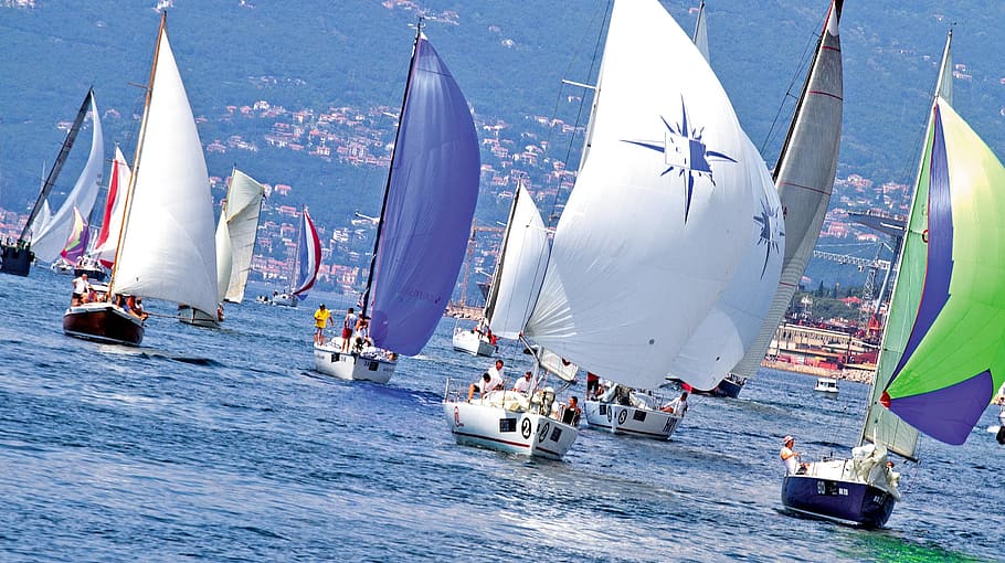 sail boats on body of water during daytime, regatta, fiumanka