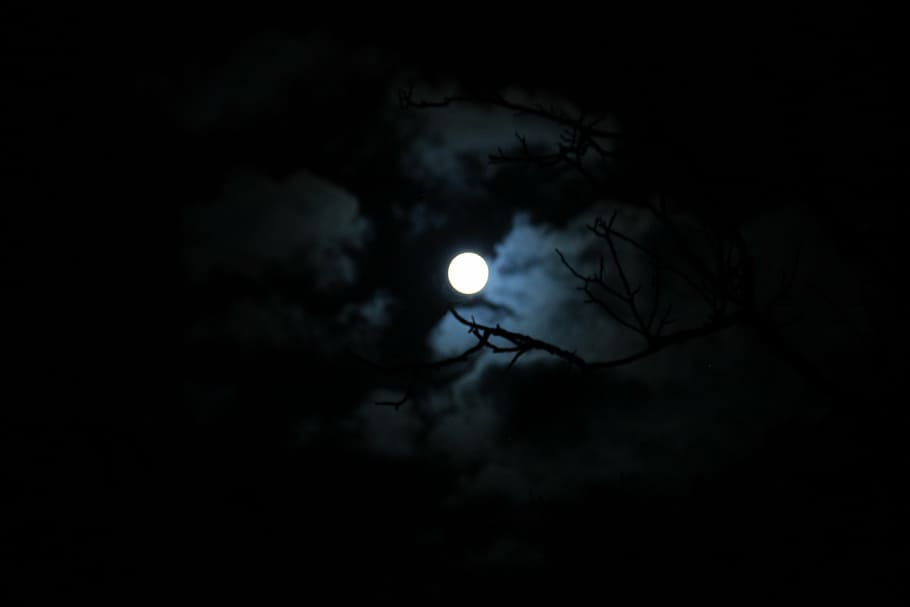 at night, moon, full moon, dark, cloud, moonlight, sky, space, HD wallpaper