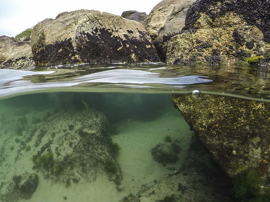 gray stone on body of wat er, diving, beach, mar, nature, rock HD wallpaper