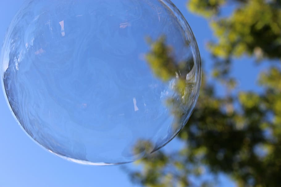 bubble, bubbles, tree, sky, nature, leaves, sphere, close-up HD wallpaper