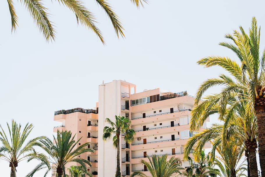 architecture, building, structure, sky, tree, plant, palm tree HD wallpaper
