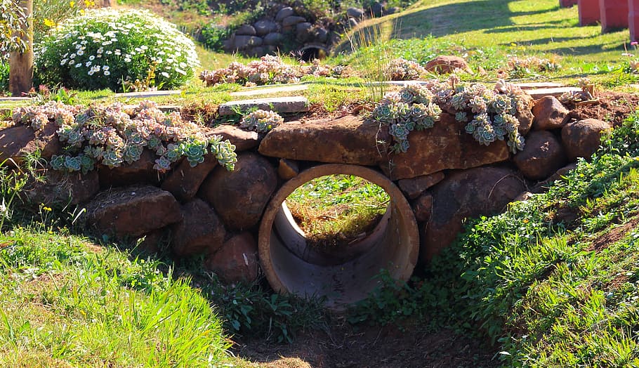bridge, cobble, stones, plant, solid, rock, nature, rock - object HD wallpaper
