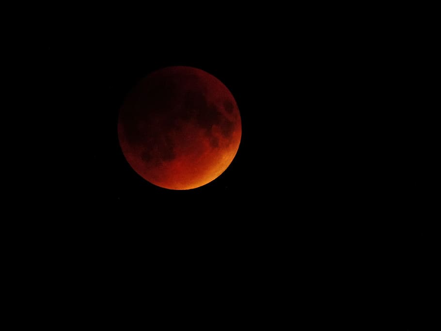 Moon, Red, Orange, astronomy, moon surface, eclipse, majestic HD wallpaper