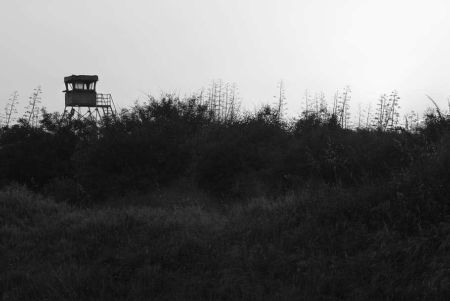 guard station, light and shadow, dune, plant, tree, sky, nature HD wallpaper