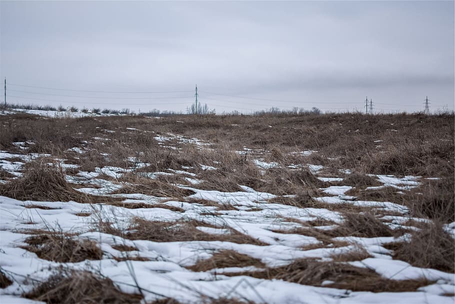 power lines, fields, snow, winter, cold temperature, nature HD wallpaper