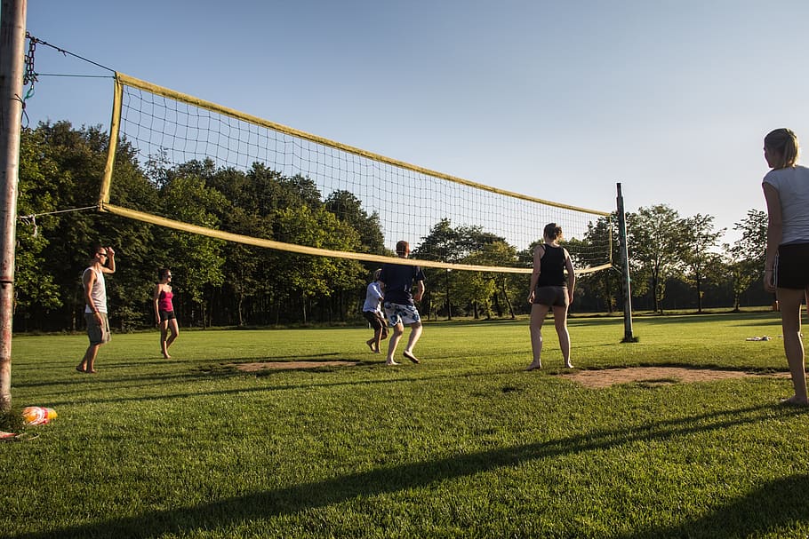 people plays volleyball during daytime, sports, sportive, sunny