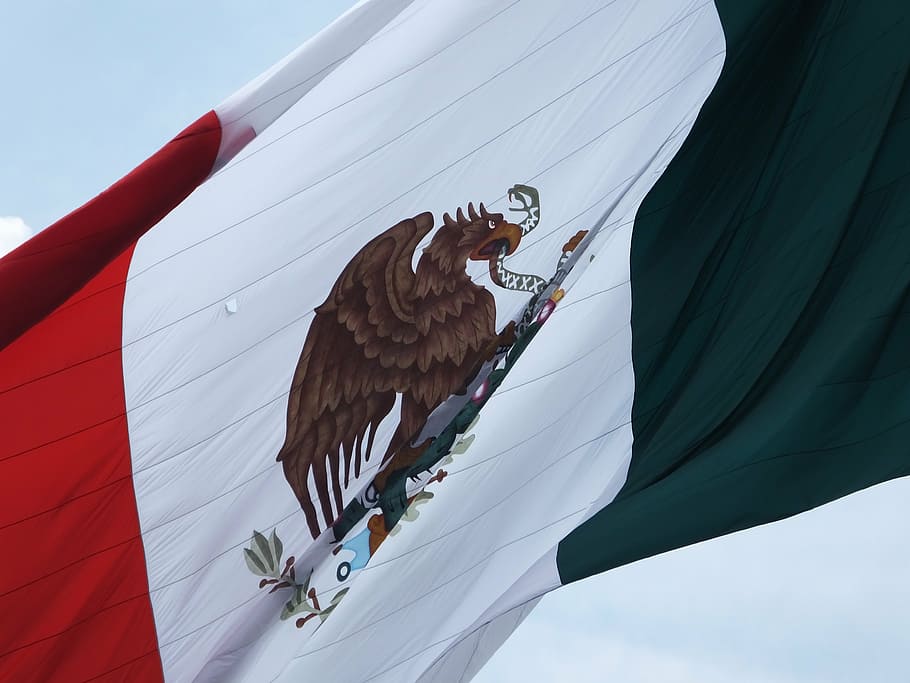 close-up photo of Mexico flag, coat of arms, mexican, country, HD wallpaper