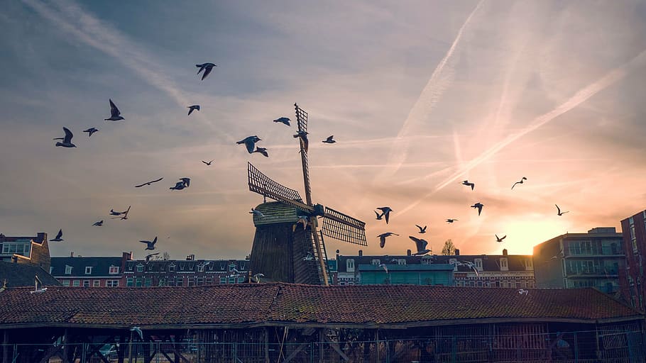 birds flying on the sky, sunset, windmill, clouds, household HD wallpaper