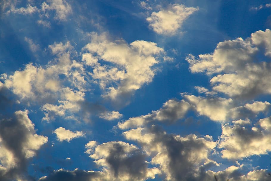 sky, clouds, blue, cotton, cloud - sky, atmosphere, cloudscape HD wallpaper