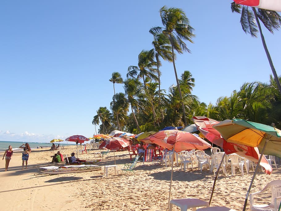 beach, umbrella, sky, sunlight, land, nature, day, clear sky HD wallpaper