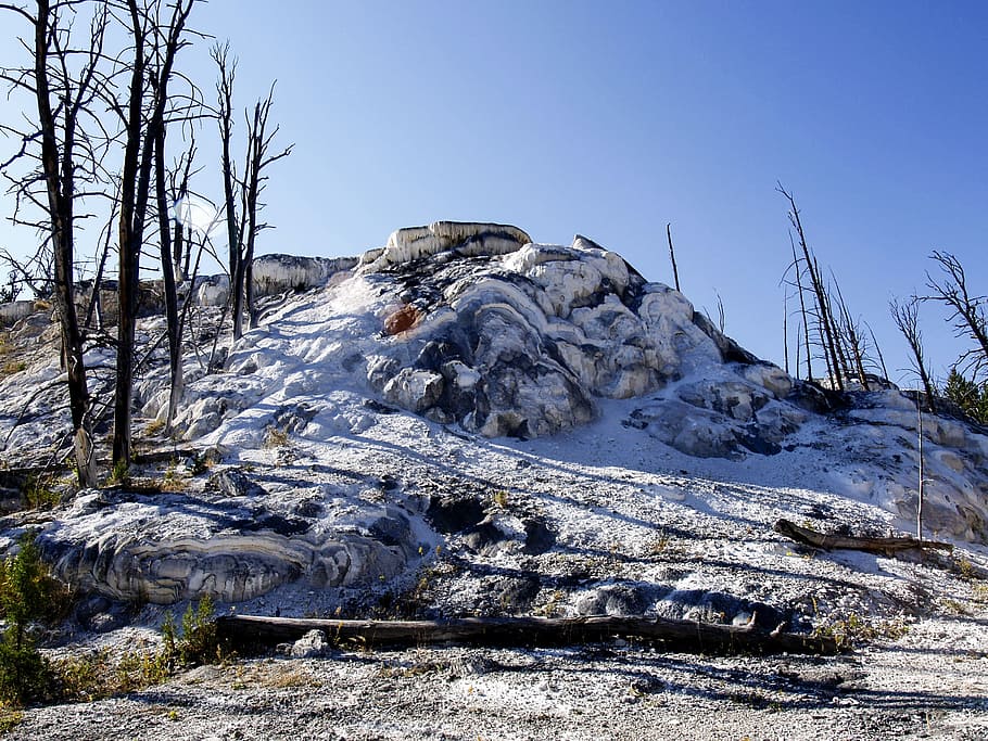 yellowstone national park, wyoming, usa, landscape, scenery, HD wallpaper