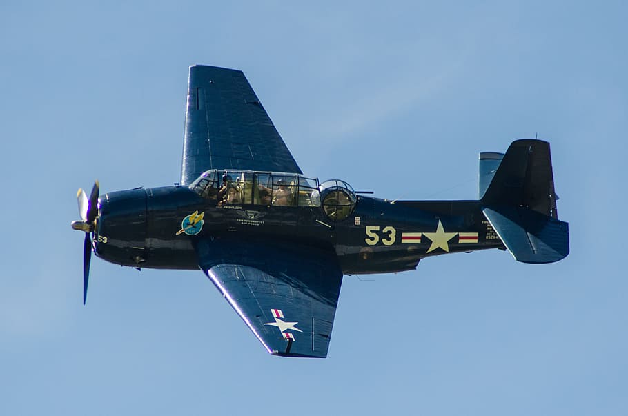 black plane during daytime close-up photo, warbird, propeller, HD wallpaper