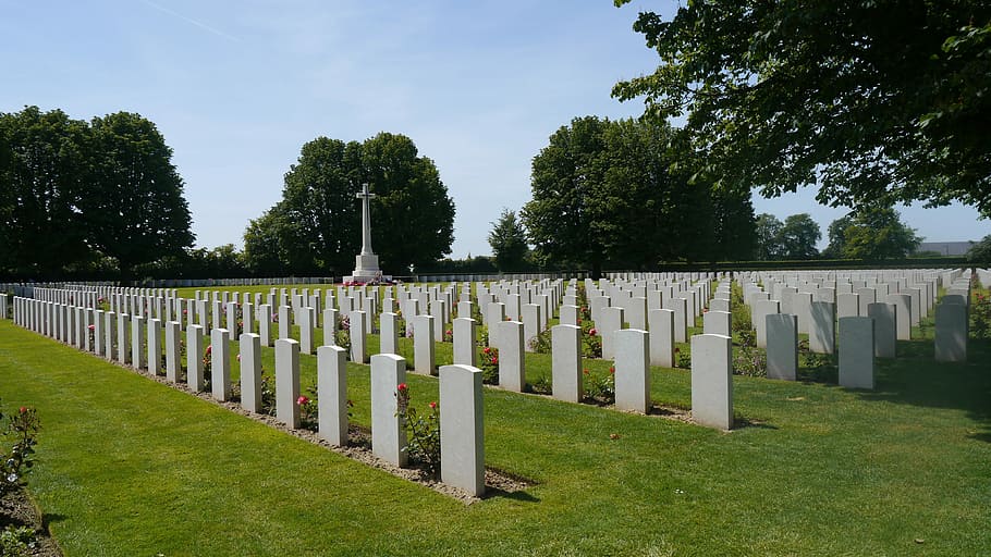 British, Cemetery, Normandy, tombstone, memorial, tree, in a row HD wallpaper
