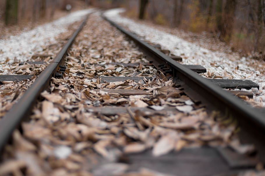 leaf, fall, autumn, track, railway, railroad track, rail transportation HD wallpaper