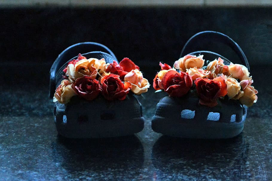 Crocks, Creative, Flowers, food and drink, freshness, fruit HD wallpaper