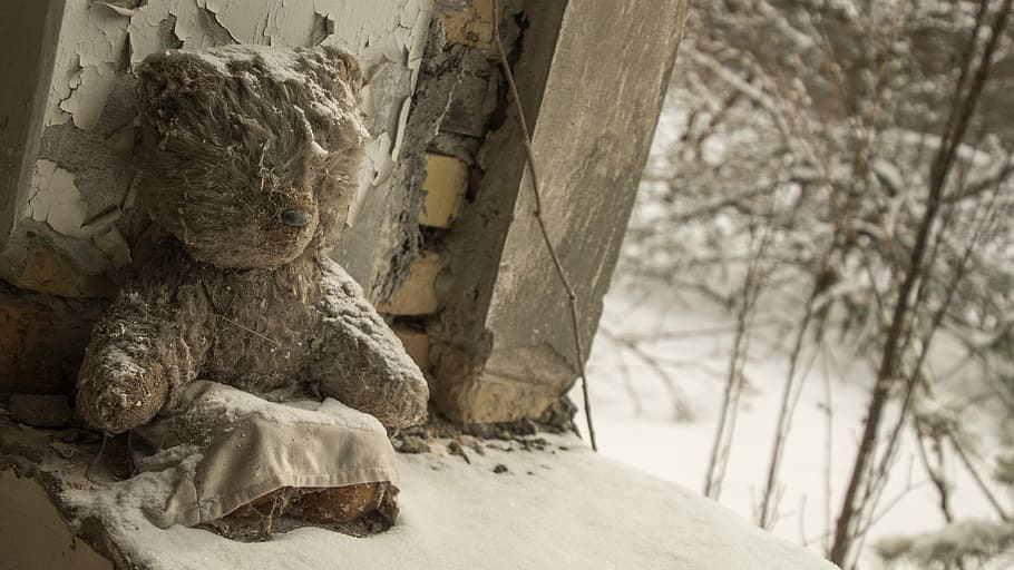 teddy, snow, bear, sitting, fur, toy, childhood, sad, window