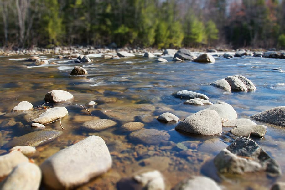 nature, river, rocks, stones, water, solid, tranquility, beauty in nature HD wallpaper