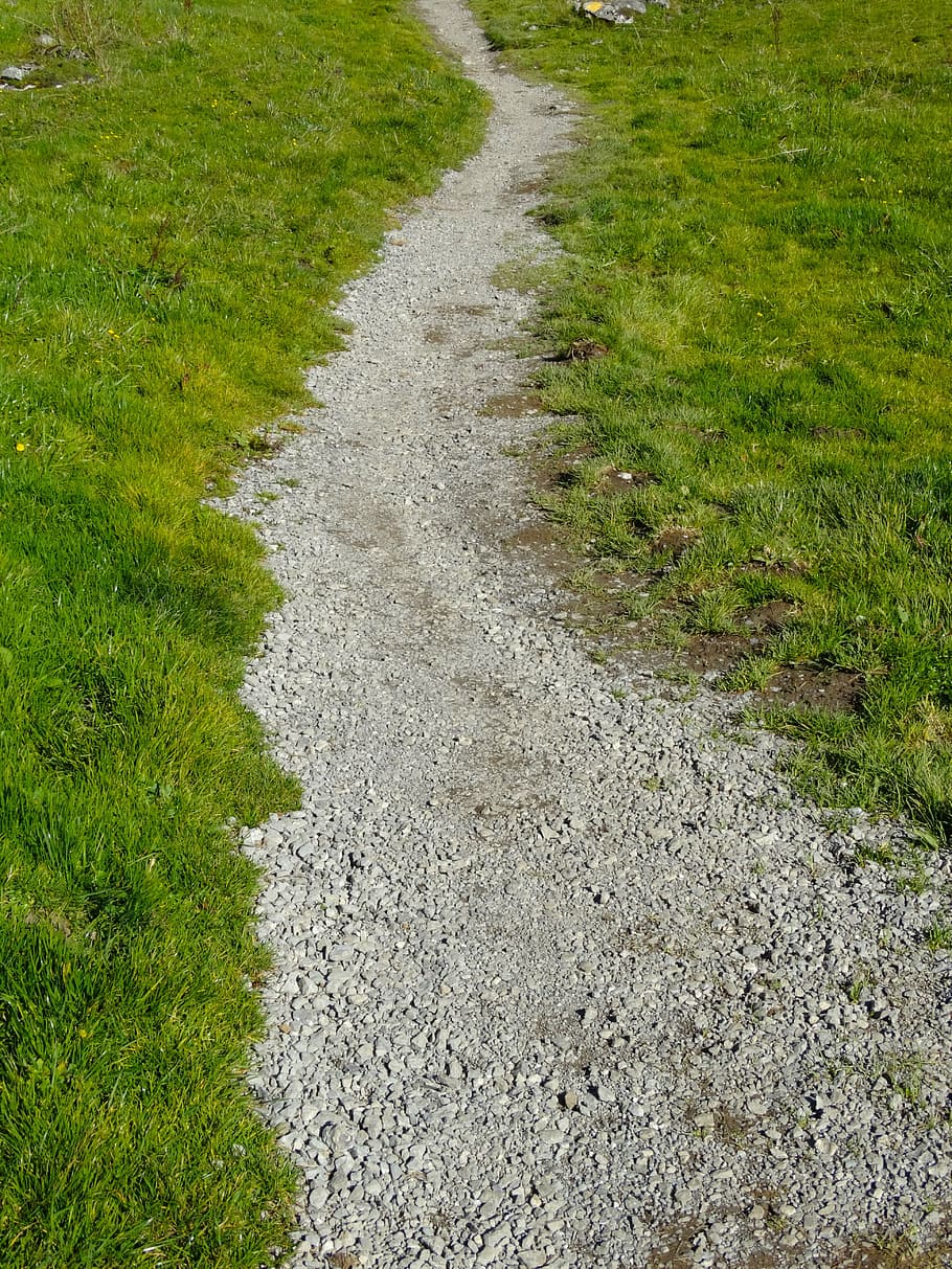 trail, away, path, migratory path, mountain trail, mountain path HD wallpaper