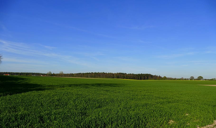 niederrhein, landscape, reported, fields, forest, spring, nature HD wallpaper