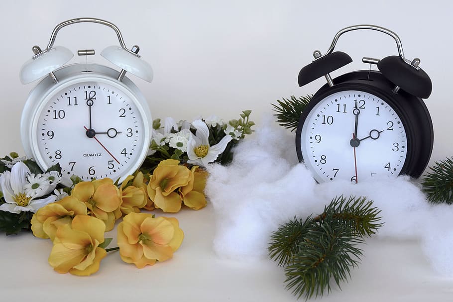 two alarm clocks beside follwers, Conversion, Winter Time, time conversion HD wallpaper