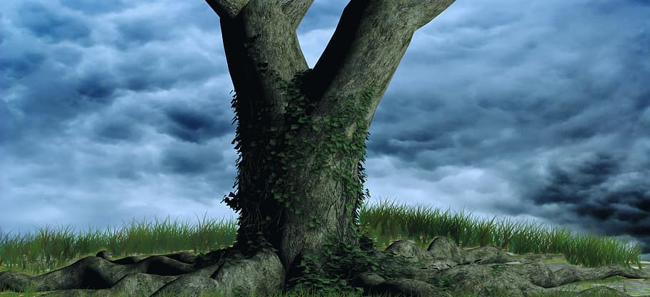 green and brown tree graphic photo, sky, nature, background HD wallpaper