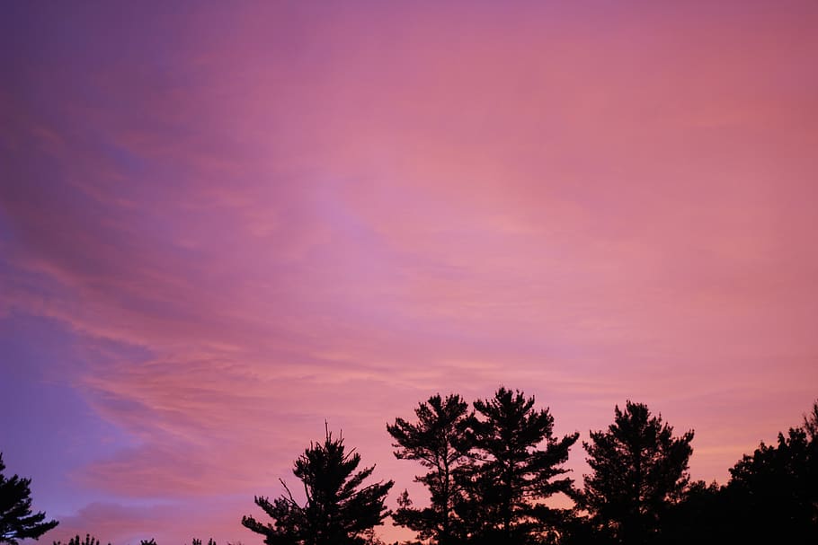 sunset, pink, yellow, clouds, cloudscape, trees, nature, landscape HD wallpaper