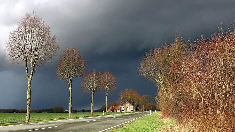 bare trees on the side of road, away, storm, clouds, sky, landscape HD wallpaper