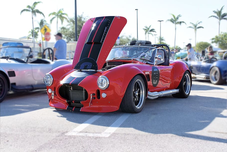cobra, car, red, mode of transportation, motor vehicle, land vehicle HD wallpaper