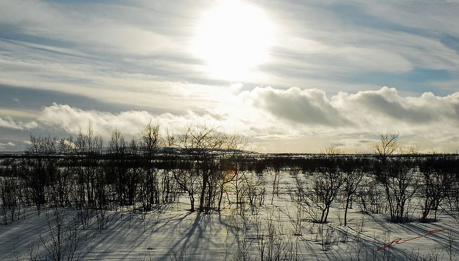 sun, cold, nature, winter, snow, sky, blue, light, white, landscape HD wallpaper