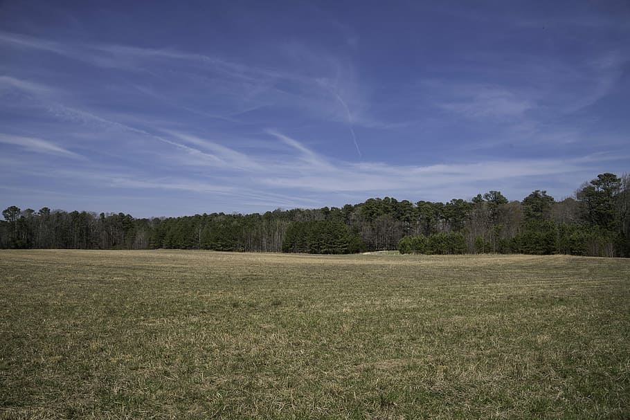 Landscape near Surrender Field in Yorktown, Virginia, photos, HD wallpaper