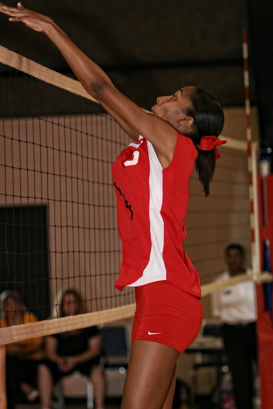 volleyball, action, girls, net, sport, play, competition, player