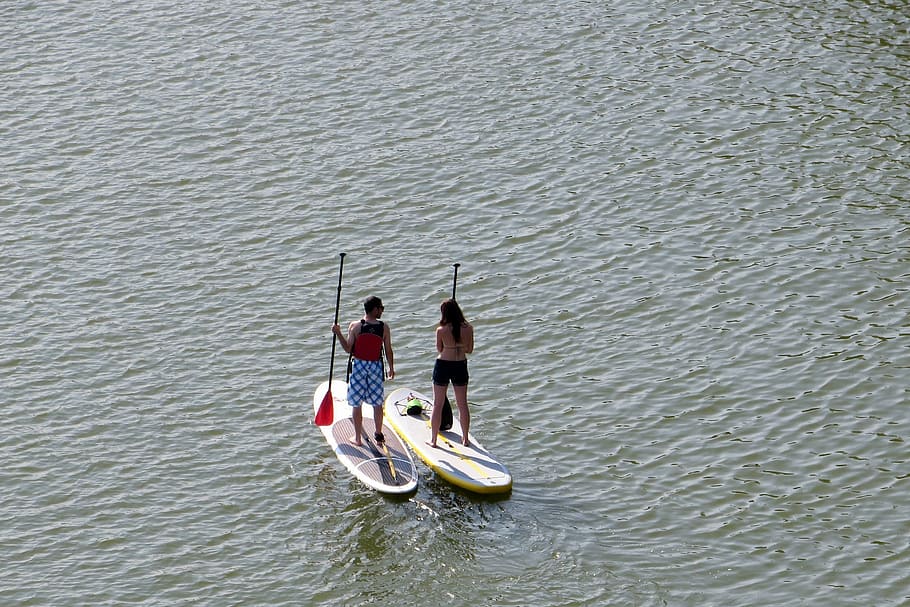 potomac, river, georgetown, washington dc, paddle boarder, nautical Vessel HD wallpaper