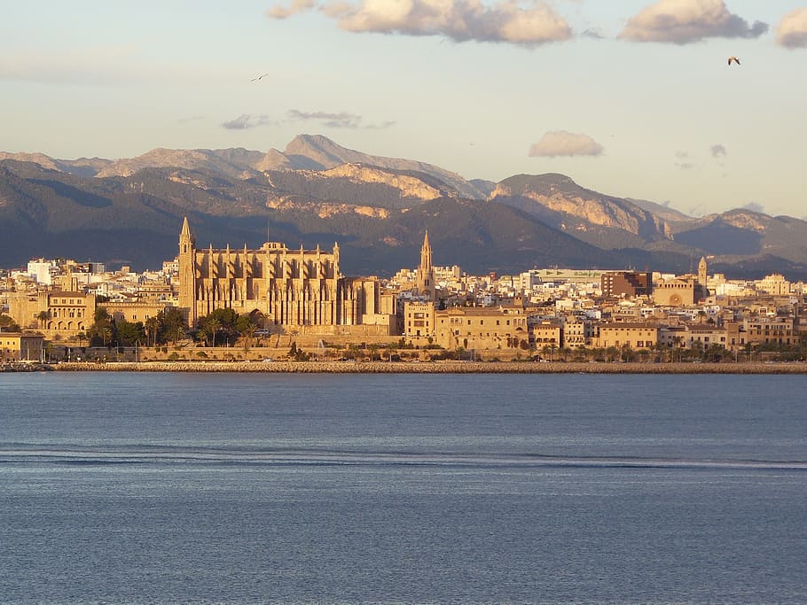 view of city, mallorca, palma de mallorca, cathedral, church, HD wallpaper