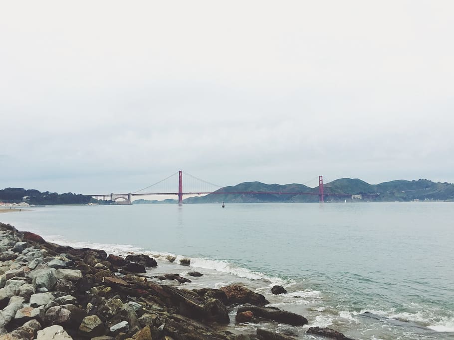 shore view of Golden Gate Bridge, San Francisco during day, San Francisco bridge HD wallpaper