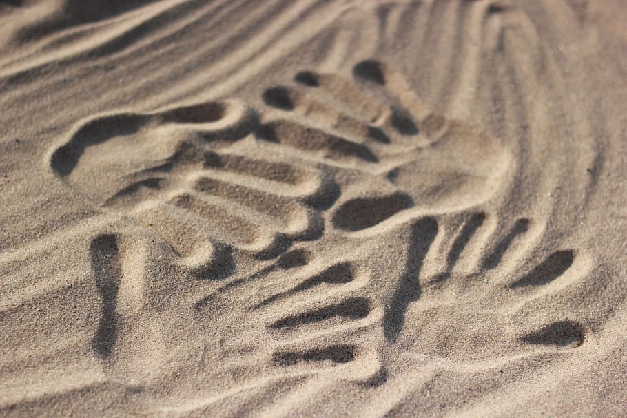four hand print on grey sand, handprints, beach, love, fossil
