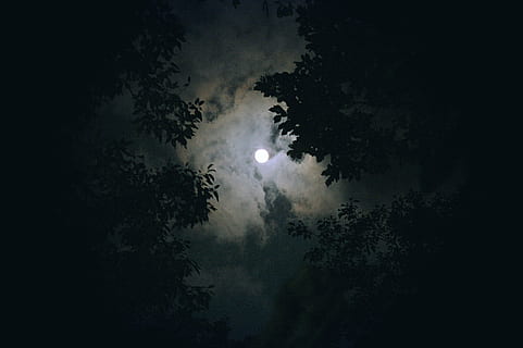 groundshot of moon during nighttime, cloud, night view, sky HD wallpaper