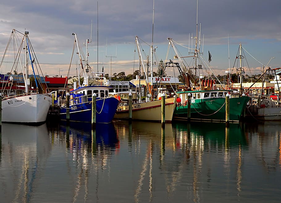 boats on dock at daytime, fishing boats, port, sea, reflection