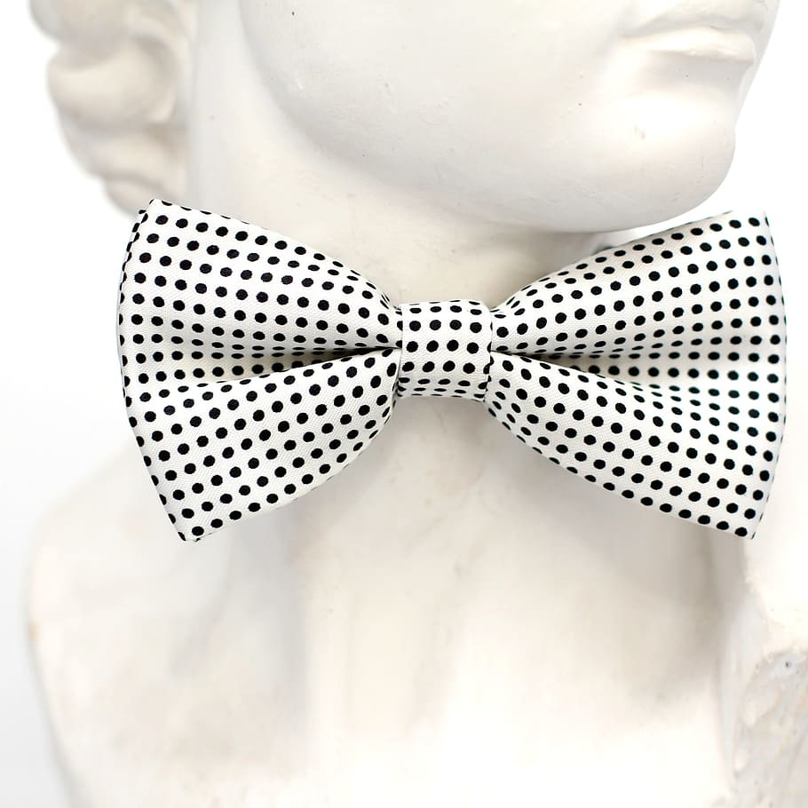 white and black polka-dot bowtie, points, fly, loop, fashion HD wallpaper