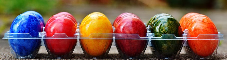 selective focus photography of assorted-color egg tray, easter eggs HD wallpaper
