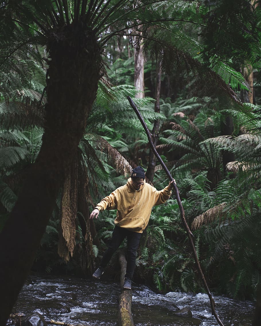 man crossing river surrounded by palm trees, man in beige jacket is about to walk on wood bridge on river HD wallpaper