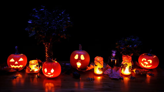 Glowing jack-o-lanterns leer menacingly from the foggy darkness, their  carved faces flickering with firelight
