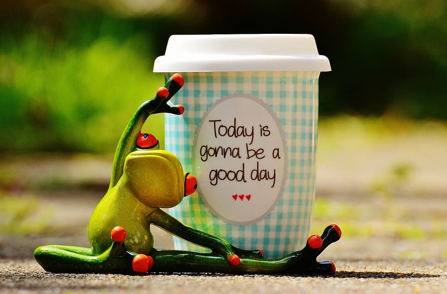 frog figurine and white tumbler, beautiful day, joy, coffee, cup
