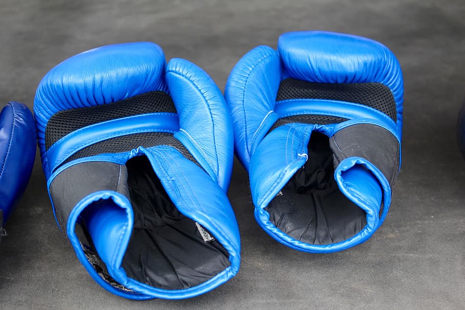 pair of blue boxing gloves, training, thai boxing, thailand HD wallpaper