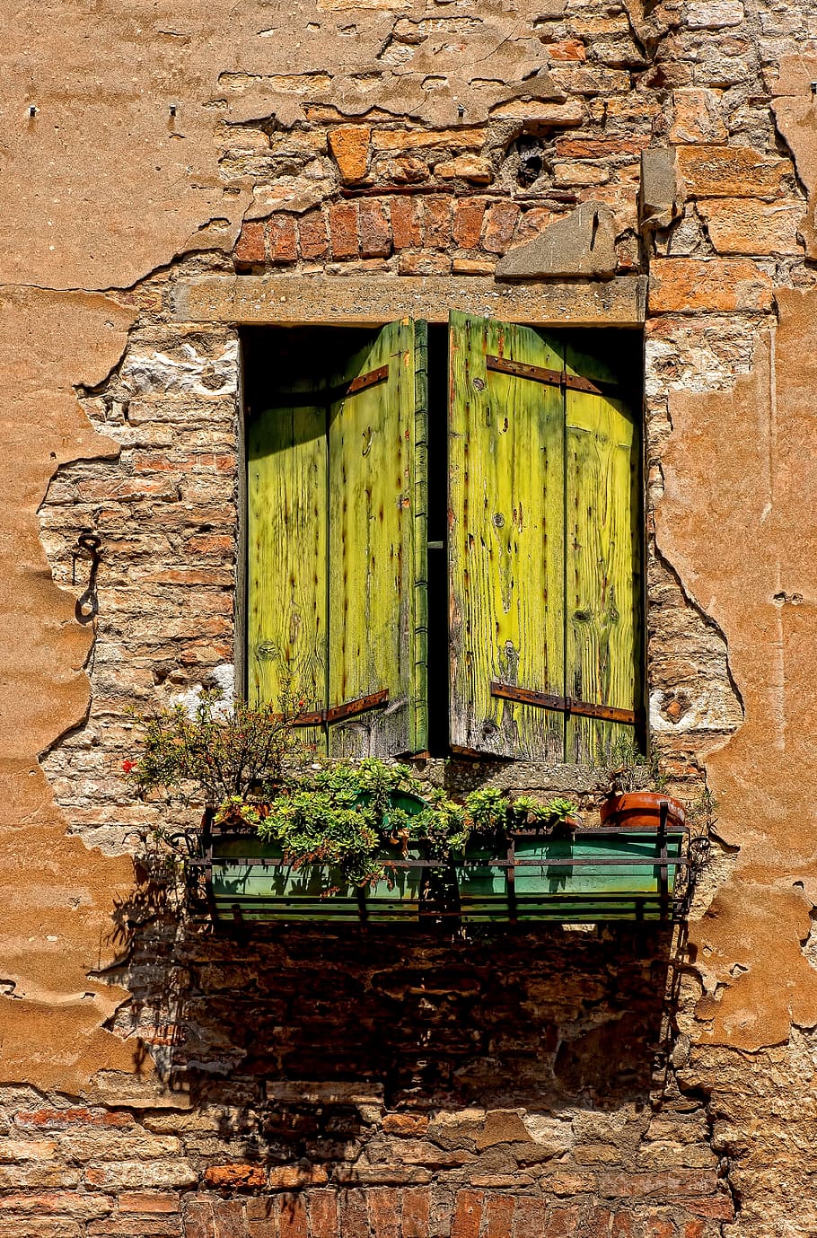 green wooden window, green plants on balcony, building, wall HD wallpaper