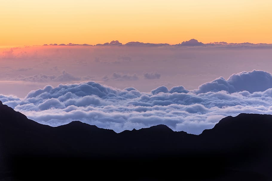 sea of clouds, white clouds, sunrise, mountain, landscape, haleakalā HD wallpaper