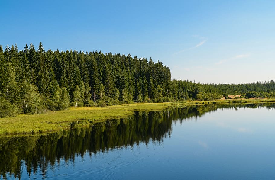 lake surrounded by trees nature photography, sky, forest, idyll HD wallpaper