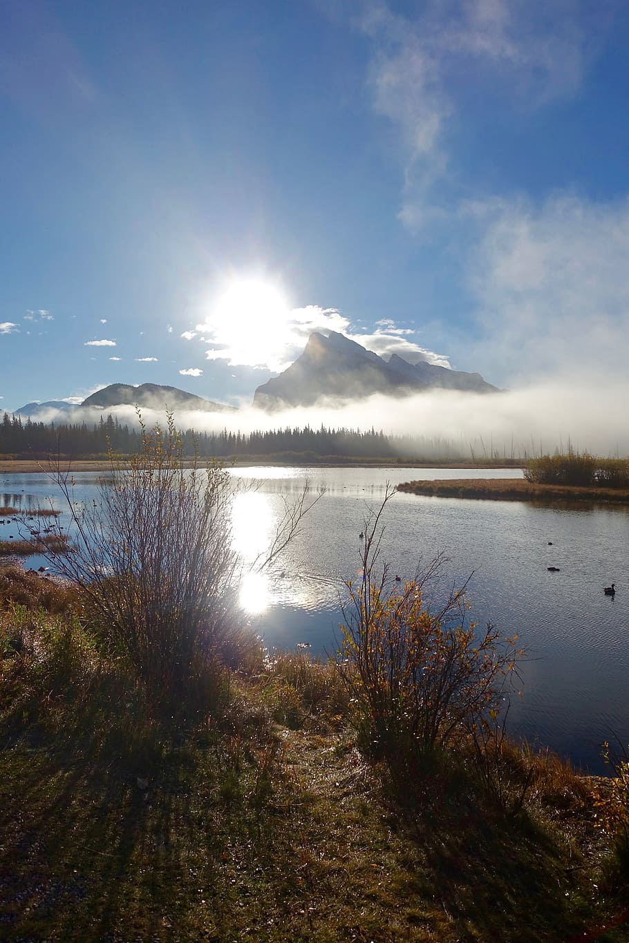 Lake, Mist, Sunlight, Reflection, Fog, morning, nature, wilderness HD wallpaper